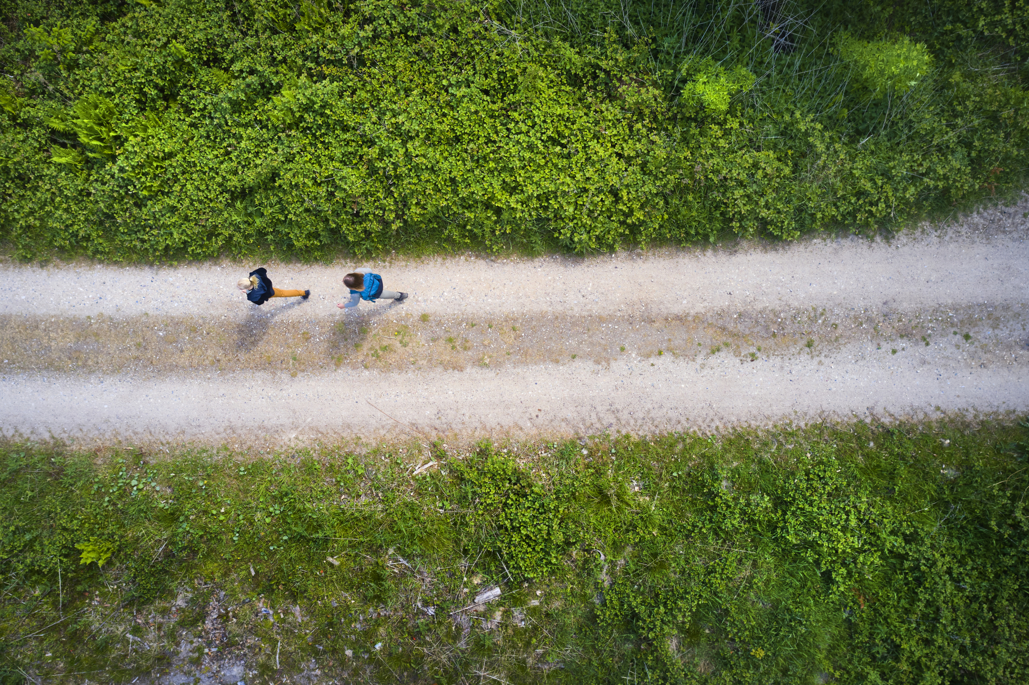 Et jogger er sett ovenfra med dronekamera mens han/hun løper på en sti i skogen